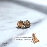 世界にひとつだけのペットジュエリーピアス うちの子被毛ジュエリー　うちの子宝石　遺毛アクセサリー被毛アクセサリー ピアス