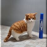 羊毛フェルト　猫　茶トラハチワレ猫　ねこ　ネコ　猫フィギュア　