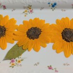 再販🌻押し花素材🌻ミニひまわり（マンゴー）