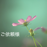 こちらはyu様ご依頼品になります。