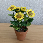 ひまわり