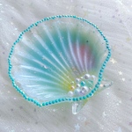 マーメイド　貝殻　トレイ　小物入れ　アクセサリー　収納