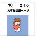 No.２１０お客様専用ページ　　　　　　　　　茶巾付きバックインバック 