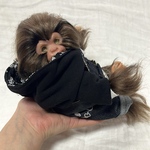 リボーンドール 小さな お猿さん モヘア植毛 ドール 抱き人形 ジェネシスペイント ライオン タリマン風  あいす monkey doll Genesis paint reborndoll 