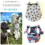 🛒トイプー&スタンプーちゃん
