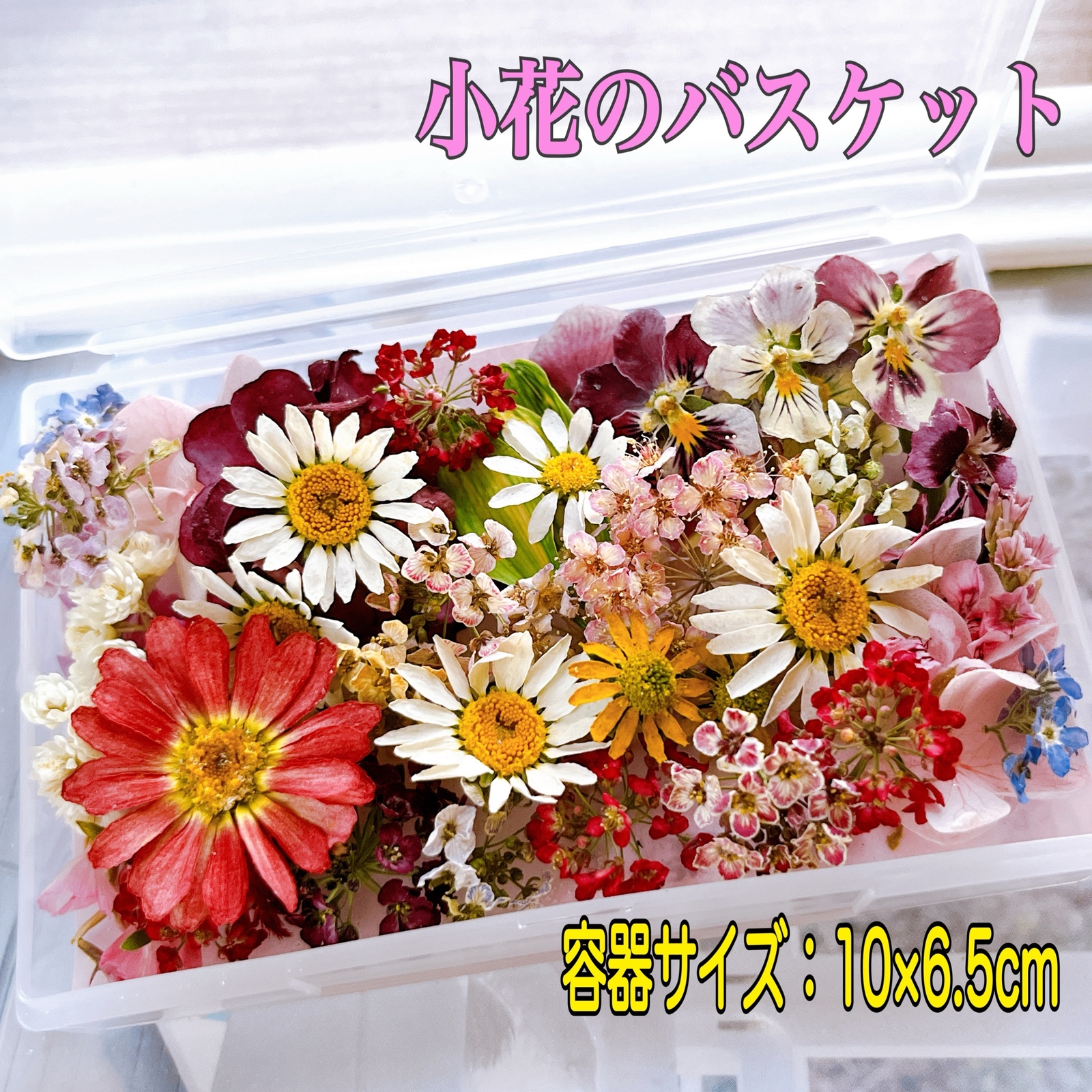 ドライフラワー✿︎花形かすみ草ミルクティー ドライフラワー✿︎花形かすみ草ミルクティー
