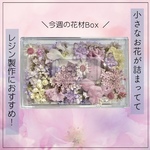 【レジン用】可愛い小花が詰まった花材Box❁⃘*.ﾟ