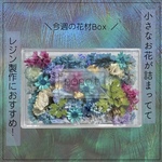 【レジン用】孔雀カラー花材Box❁⃘*.ﾟ