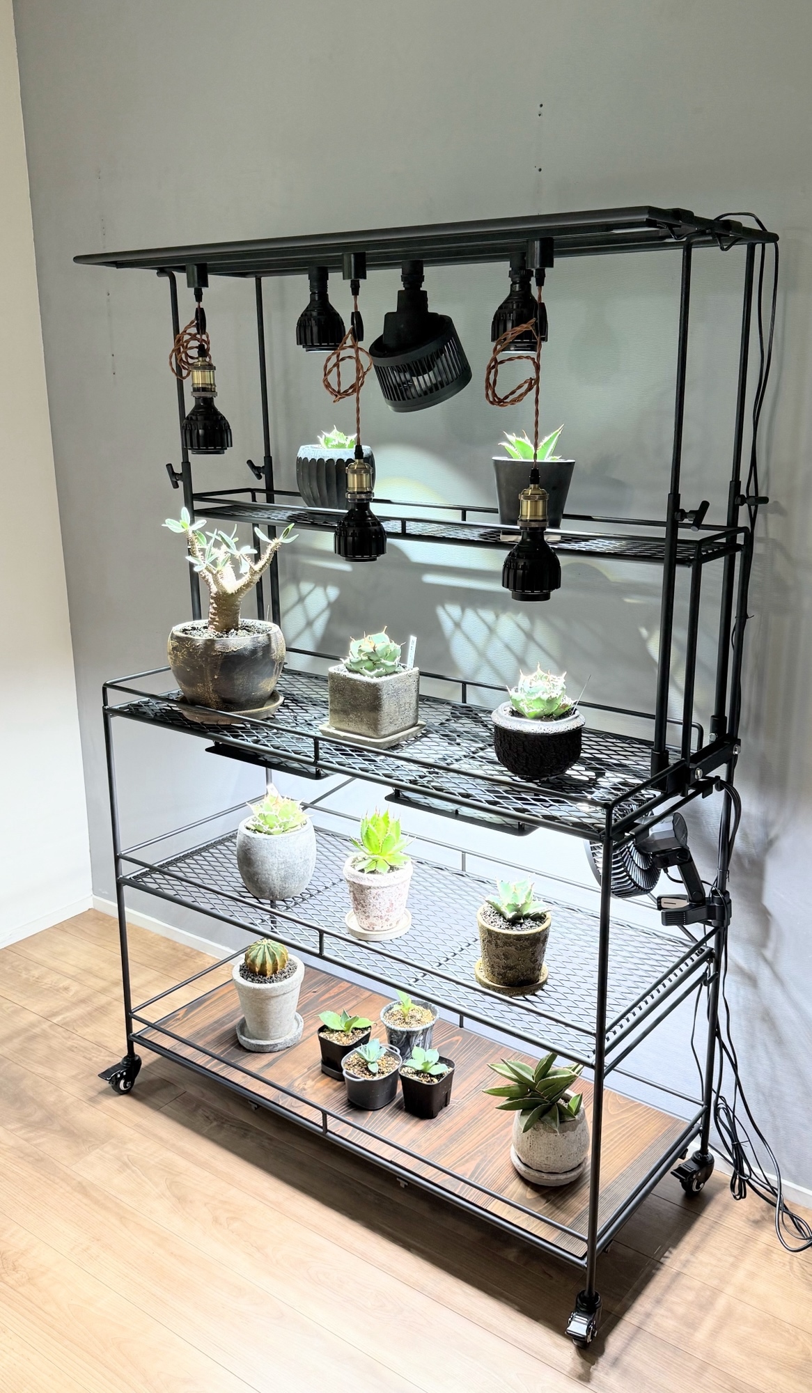 植物棚 ライティングレール ボタニカルシェルフ アイアン