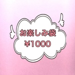 [限定4点] お楽しみ袋