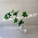 「リアルを超える美しさ」ドウダンツツジのウォーターアレンジ/フラワーギフト