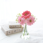 枯れない♡こぼれない魔法の水·ガーベラのマジカルウォーターアレンジメント