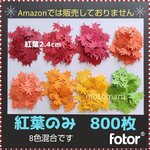 ■紅葉のみ　800枚■クラフトパンチもみじ秋9月10月11月葉っぱ落ち葉枯れ葉保育園製作キット工作壁面飾り素材コメカ大量