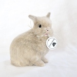 よそ見をしているベビーなうさぎさん　羊毛フェルト　リンクスカラー　ネザーランドドワーフ