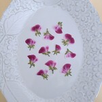 押し花素材642　ペラルゴニウム12枚のセット　花材　濃いピンク