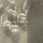 サイズ計測用ネイルチップ🌿 1種類選択