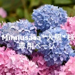 Mimiusasa*犬服*様 専用ページ