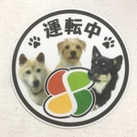 丸型 高齢者マーク3匹用