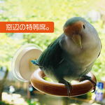 【まどり木】窓辺の止まり木　ガラス面に取り付け可能なとまり木です。（安心のしっかり吸着）