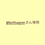 @lilychihuagramさん専用