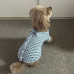透かし編みニットドッグシャツ編み図（Openwork Knit Dog Shirt）