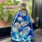 透かしほおずきハーバリウム　《クラゲの海》【注文制作】