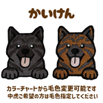 甲斐犬