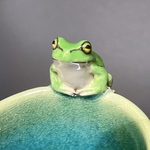 蛙のぐい呑