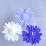 花が水に浮かぶキャンドル３つセット-Floating Flora Candle – 