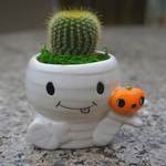 ハロウィン★サボテン