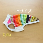 【既製品】イタグレ服　Ｍサイズ