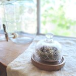 Petite・Foret ～nocturne tarte～ dried-botanical tarte ガラスドームセット ufufu no summer wreath