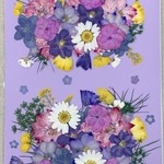 NO.㉒お買得品❣️フラワーガーデン／押し花素材