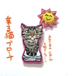  「乗る猫ブローチ」   セット販売･猫の気持ちブローチ
