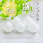 崩れない・シンプルな盛り塩　水晶＆清め塩のダブル浄化　5個