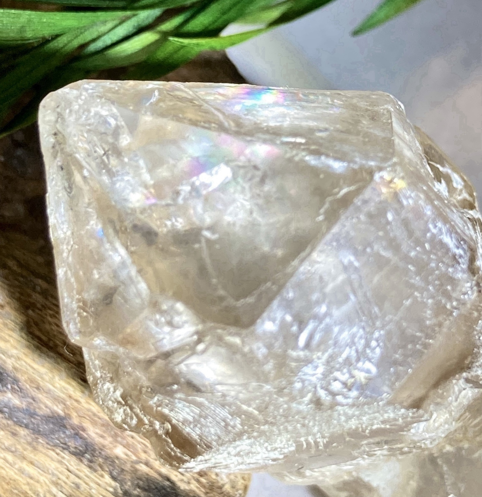 天使の力໒꒱　レインボー エレスチャル  骸骨水晶　原石　ダブルポイント
