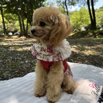 犬服　ドックウェア　トワルドジュイ　ホールターネックワンピース　レッド　赤　ネーム　刺繍　オーダー