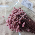 小さな花束　グリグシアドライ　ピンク　♡20本の小さな花束