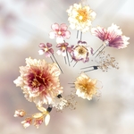 牡丹 と 桜 の 髪飾り ⭐︎アメリカンフラワー ⭐︎ 卒業式、成人式　ウェディング