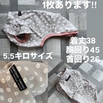 イタグレの服　イタグレ服
