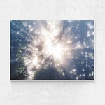 送料無料　A4サイズ　インテリアフォト　自然を感じるインテリア　海　インテリア写真　インテリアポスター　風景　景色　海のインテリア　海のポスター