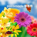 pocomode様専用
