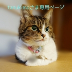 【tanukimo様セミオーダー品】しっとり美しいアジサイ柄のカバー・夏が来た！アサガオ柄のカバー・太陽燦燦まぶしいヒマワリ柄のカバー ３枚セット