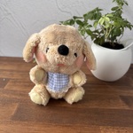 モココフレンズ　いぬココ（レトリーバー　お兄ちゃん）