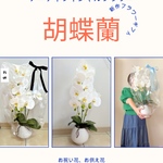 フラワーギフト！豪華な胡蝶蘭のアーティフィシャルフラワー