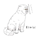 ララちゃん専用　３点セット