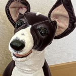 イタリアン・グレーファウンド👍lalatina 専用