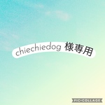 専用ページ　　追加