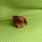 オーダー品   羊毛フェルト 