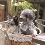 【わんこのビブ】アンティークストライプ　　　犬 服 ビブ スタイ 襟 ケープ 花柄 アンティーク ストライプ